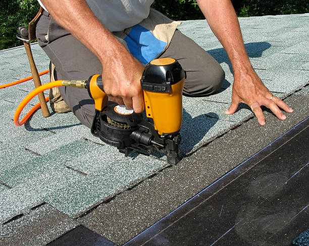 Professional Roofing Contractor in Remerton, GA