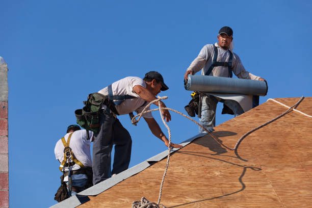 Best Roof Leak Repair  in Remerton, GA