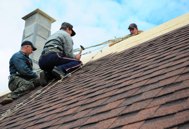 Best Local Roofing Companies  in Remerton, GA