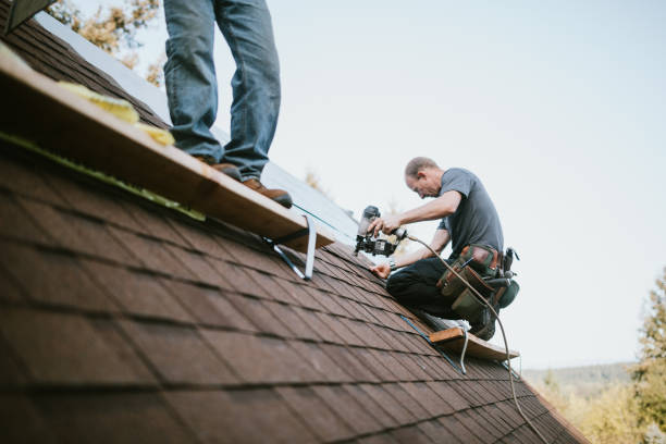 Best Storm Damage Roof Repair  in Remerton, GA